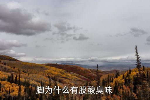 腳有酸臭味是什么原因，腳有種酸氣味 怎么回事