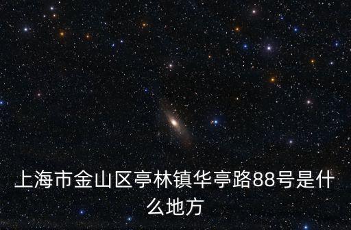 上海市金山區亭林鎮華亭路88號是什么地方