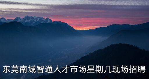 東莞南城智通人才市場星期幾現(xiàn)場招聘