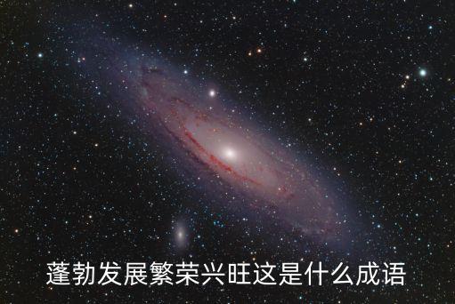 蓬勃發展繁榮興旺這是什么成語