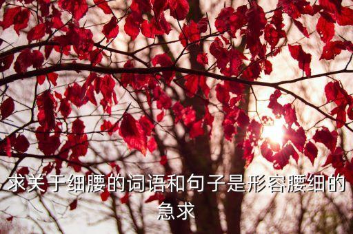 求關于細腰的詞語和句子是形容腰細的急求