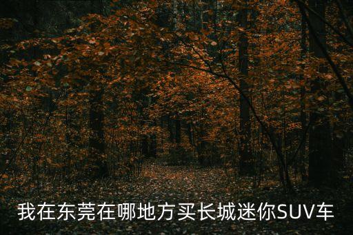 我在東莞在哪地方買(mǎi)長(zhǎng)城迷你SUV車(chē)