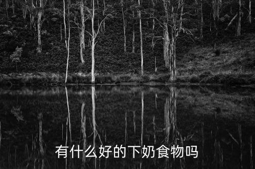 有什么好的下奶食物嗎