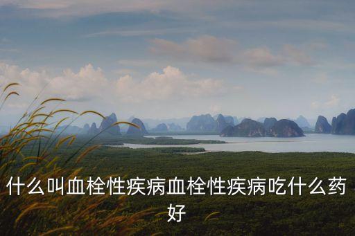 混合血栓，靜脈血栓主要是 混合血栓 還是 紅色血栓