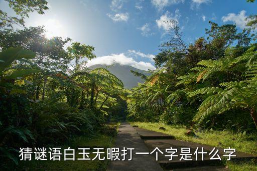 白玉無瑕打一字，白玉無瑕打一個字