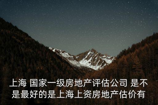 上海市A級(jí)資質(zhì)評(píng)估公司，上海工程師評(píng)定機(jī)構(gòu)