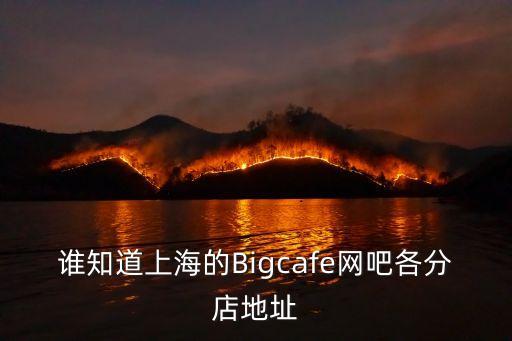 誰知道上海的Bigcafe網(wǎng)吧各分店地址