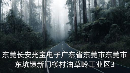 東莞長(zhǎng)安光寶電子廣東省東莞市東莞市東坑鎮(zhèn)新門樓村油草嶺工業(yè)區(qū)3
