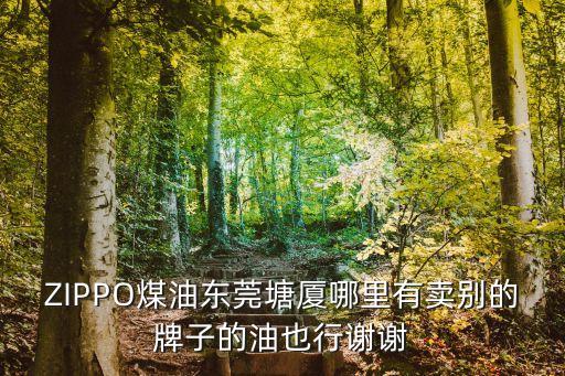 ZIPPO煤油東莞塘廈哪里有賣別的牌子的油也行謝謝
