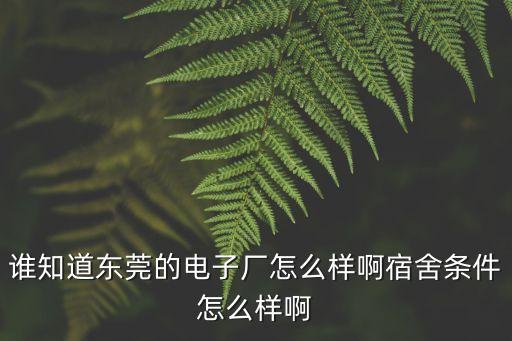 東莞林杰電子廠怎么樣，誰知道東莞的電子廠怎么樣啊宿舍條件怎么樣啊