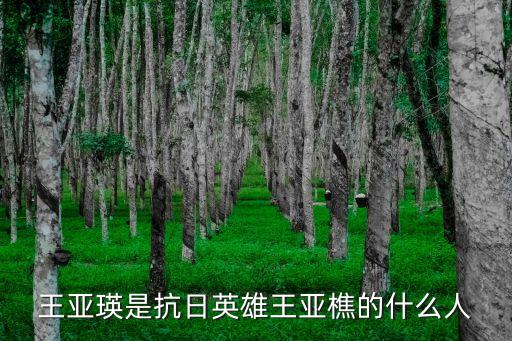 王亞瑛是抗日英雄王亞樵的什么人