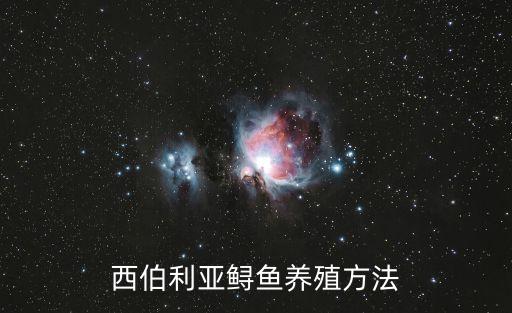 西伯利亞鱘，西伯利亞鱘魚為什么叫淡水河怪