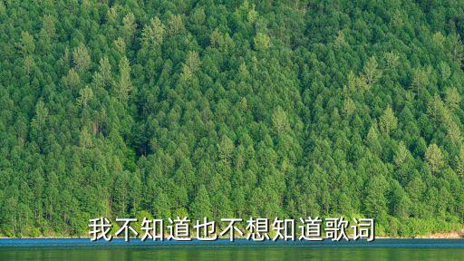 再見鄧紫棋歌詞，我不知道也不想知道歌詞