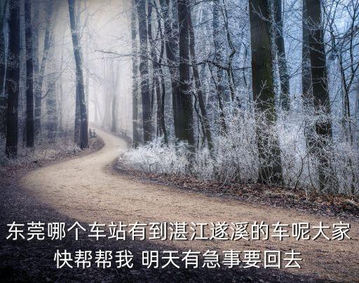 東莞哪個(gè)車(chē)站有到湛江遂溪的車(chē)呢大家快幫幫我 明天有急事要回去