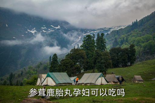 參茸鹿胎丸孕婦可以吃嗎