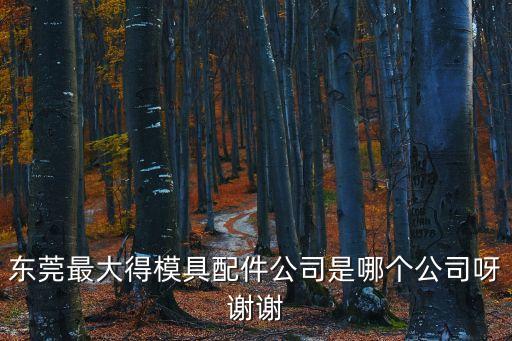 東莞模具配件加工，東莞最大得模具配件公司是哪個公司呀謝謝