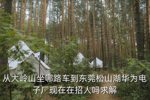 從大嶺山坐哪路車到東莞松山湖華為電子廠現在在招人嗎求解