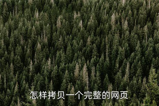 網頁復制，怎樣復制網址
