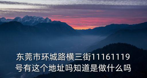 東莞市穎泰，東莞市環(huán)城路橫三街11161119號有這個(gè)地址嗎知道是做什么嗎