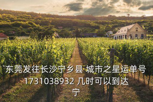 東莞發(fā)往長沙寧鄉(xiāng)縣 城市之星運(yùn)單號(hào)1731038932 幾時(shí)可以到達(dá)寧