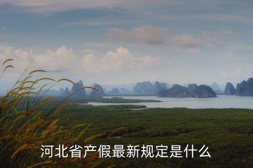 河北省產(chǎn)假最新規(guī)定是什么