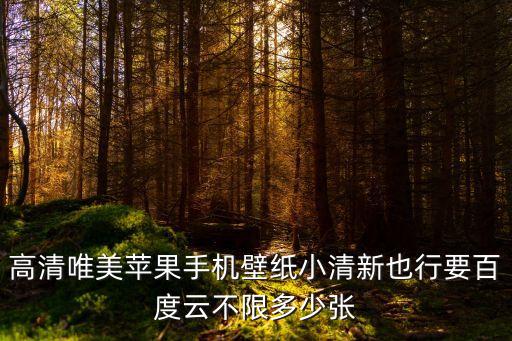 蘋(píng)果壁紙高清，air壁紙最好高清