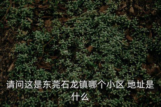 請問這是東莞石龍鎮哪個小區 地址是什么