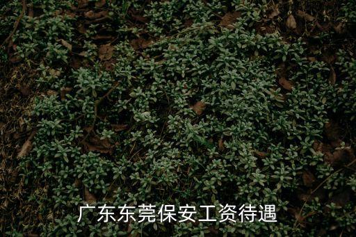 廣東東莞保安工資待遇