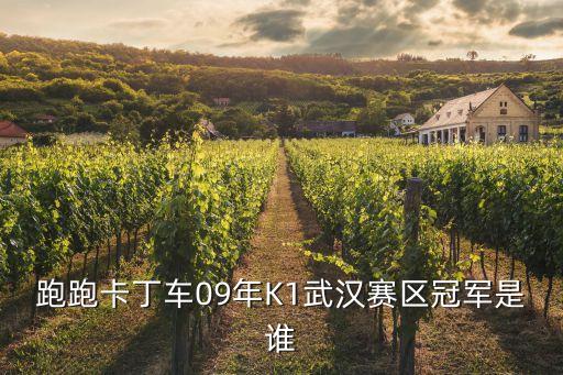 東莞跑跑卡丁車，東莞長(zhǎng)安哪里有跑跑卡丁車網(wǎng)吧歡樂行
