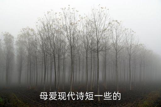 母愛的現代詩，寫母愛的現代詩