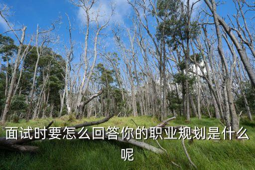 面試時要怎么回答你的職業規劃是什么呢