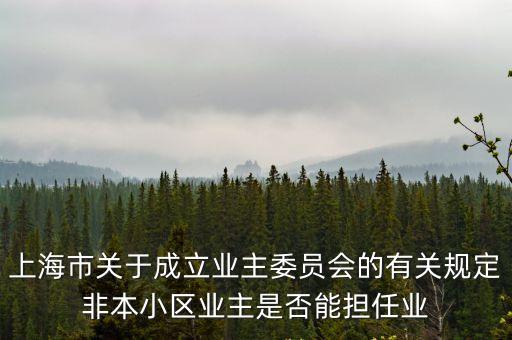 上海市關于成立業主委員會的有關規定非本小區業主是否能擔任業