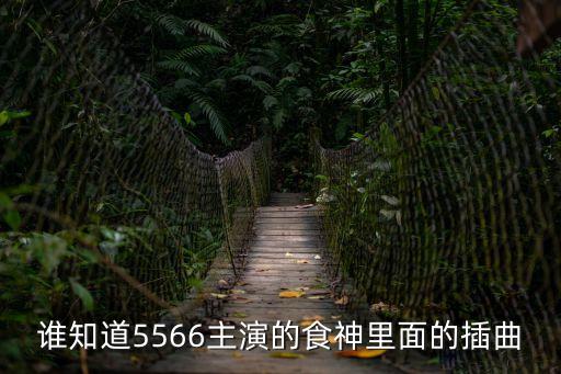 食神插曲，電視劇食神的所有插曲是什么