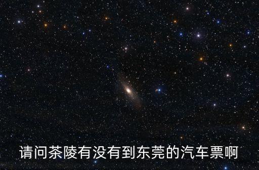 東莞至茶陵班車，請問茶陵有沒有到東莞的汽車票啊