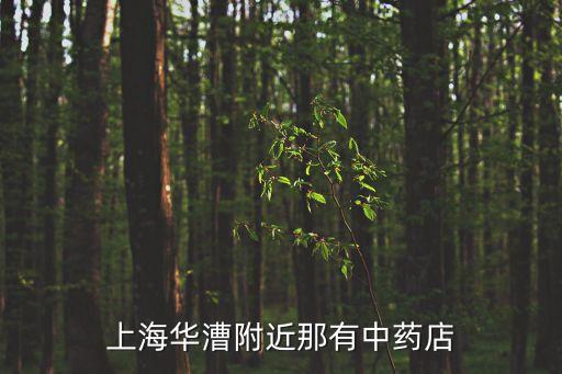 上海華漕附近那有中藥店