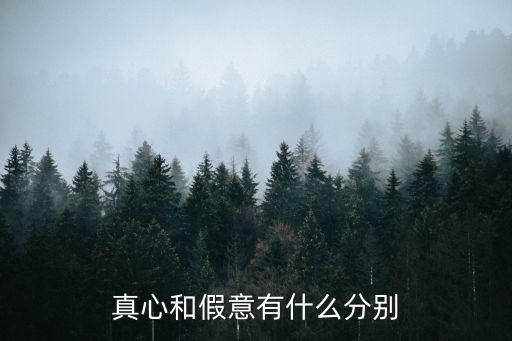 真心假意，真心和假意有什么分別