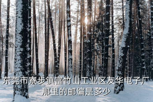 東莞市寮步鎮富竹山工業區友華電子廠那里的郵編是多少