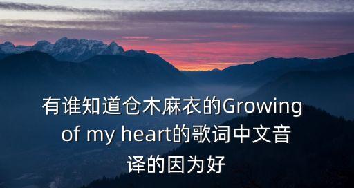 巔峰見證，倉木麻衣growing of my heart中文音譯歌詞誰有急呀就是