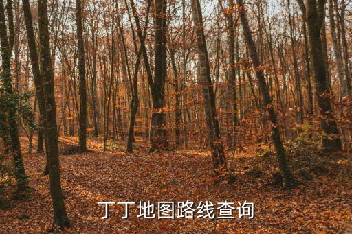 丁丁地圖路線查詢