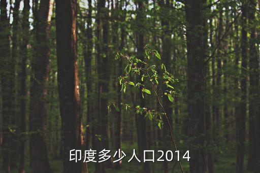 印度多少人口2014