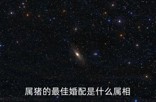 屬豬的最佳婚配是什么屬相