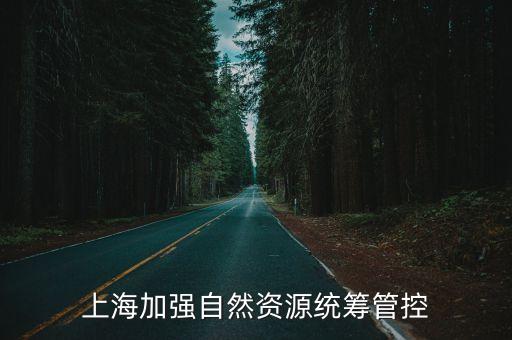 上海市本市國土空間用途管制試行，國土空間規劃用地用海分類