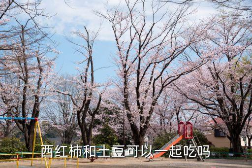 西紅柿和土豆可以一起吃嗎