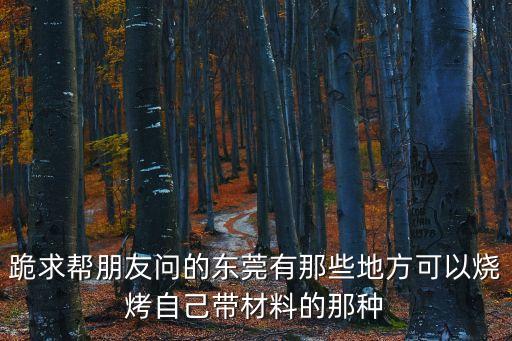 跪求幫朋友問的東莞有那些地方可以燒烤自己帶材料的那種