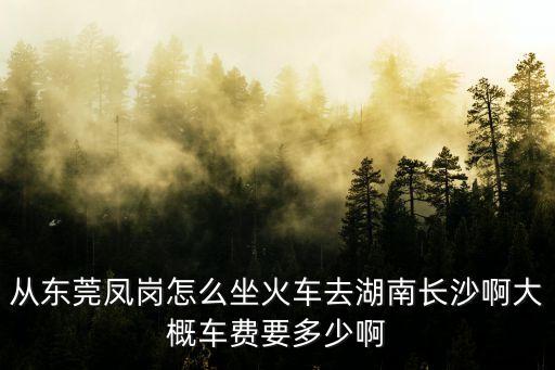 從東莞鳳崗怎么坐火車去湖南長沙啊大概車費要多少啊