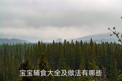 寶寶輔食大全及做法有哪些