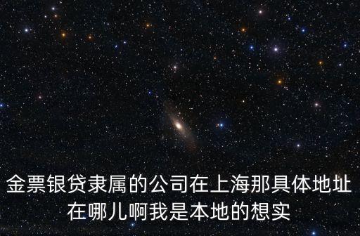 金票銀貸隸屬的公司在上海那具體地址在哪兒啊我是本地的想實