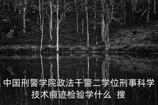 中國刑警學院政法干警二學位刑事科學技術痕跡檢驗學什么  搜