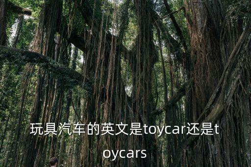 玩具汽車的英文是toycar還是toycars