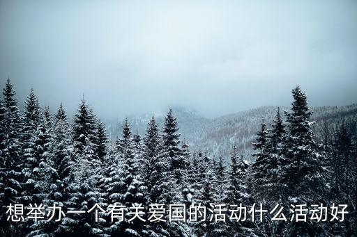 想舉辦一個有關愛國的活動什么活動好